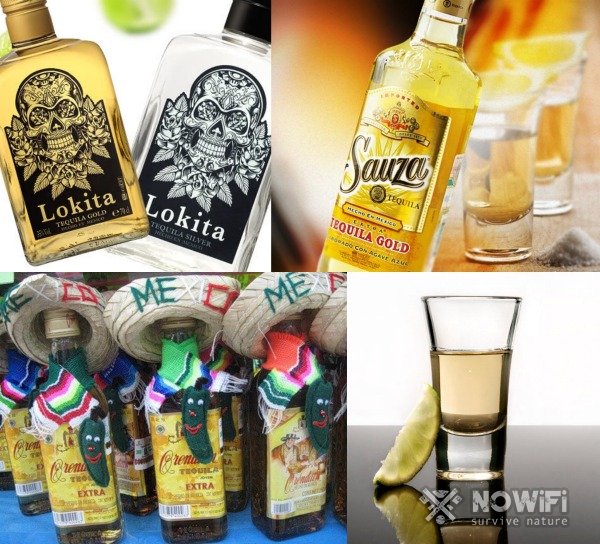 Из чего сделана текила