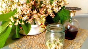 Применение настойки из каштана при болезнях Лечебные свойства каштановой настойки