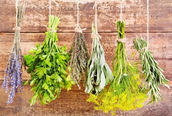 Сушеные травы