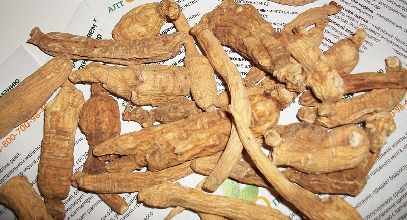 Польза женьшеня для мужчин и женщин