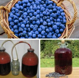 Домашнее сливово-сливовое вино