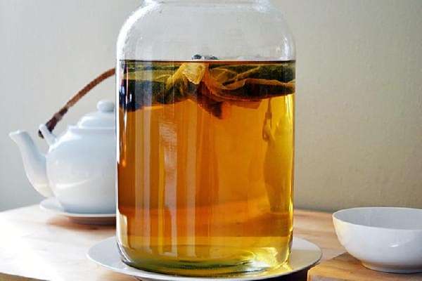 Отвар из коры осины Настой из коры осины