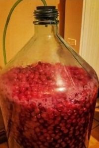 Влейте вишню Вишня с семенами