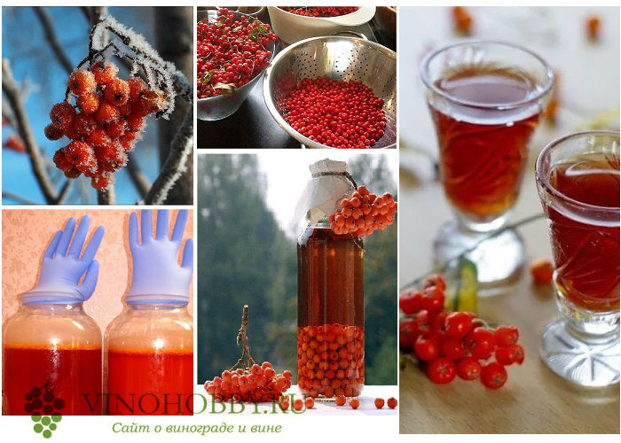 вина-из-рябины 5