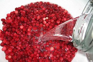 Залить ягоды самогоном Клюквенная настойка