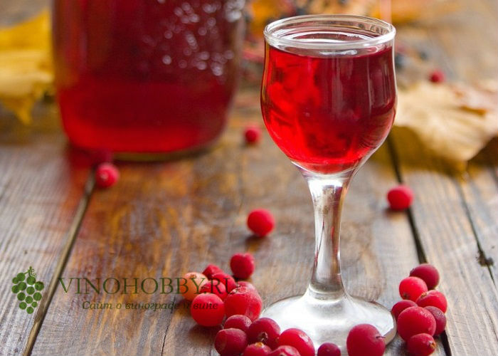 настойка-на-бруснике 14