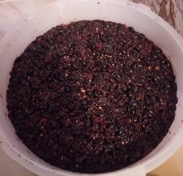 Мякоть винограда