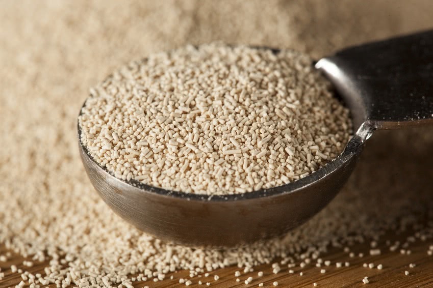 вино перестало бродить что делать