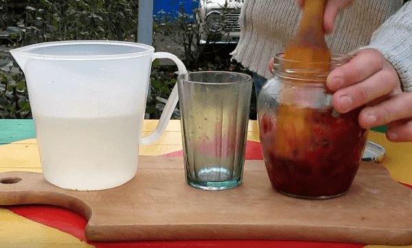 Замесить чернику в банке толкателем