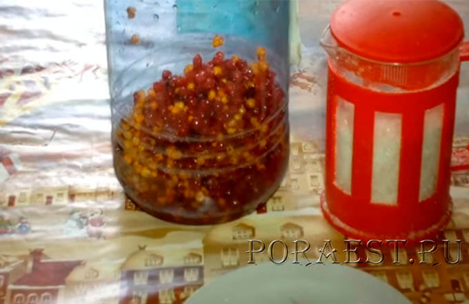 сложить-в-бутил-калину-и-облепиху