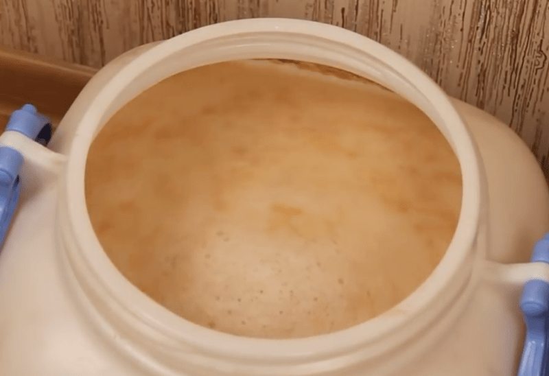 Кукуруза + коджи. Кукурузная крупа брага на китайских дрожжах кодзи.