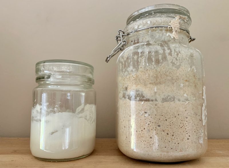 Пшеница + коджи. Брага из пшеничной манной крупы на китайских дрожжах кодзи.