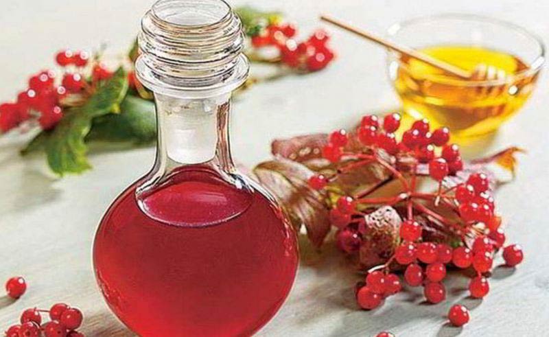 настойка калины при лунном свете