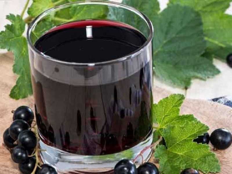 на черной смородине