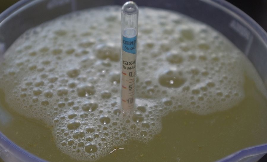 Проверка крепости браги