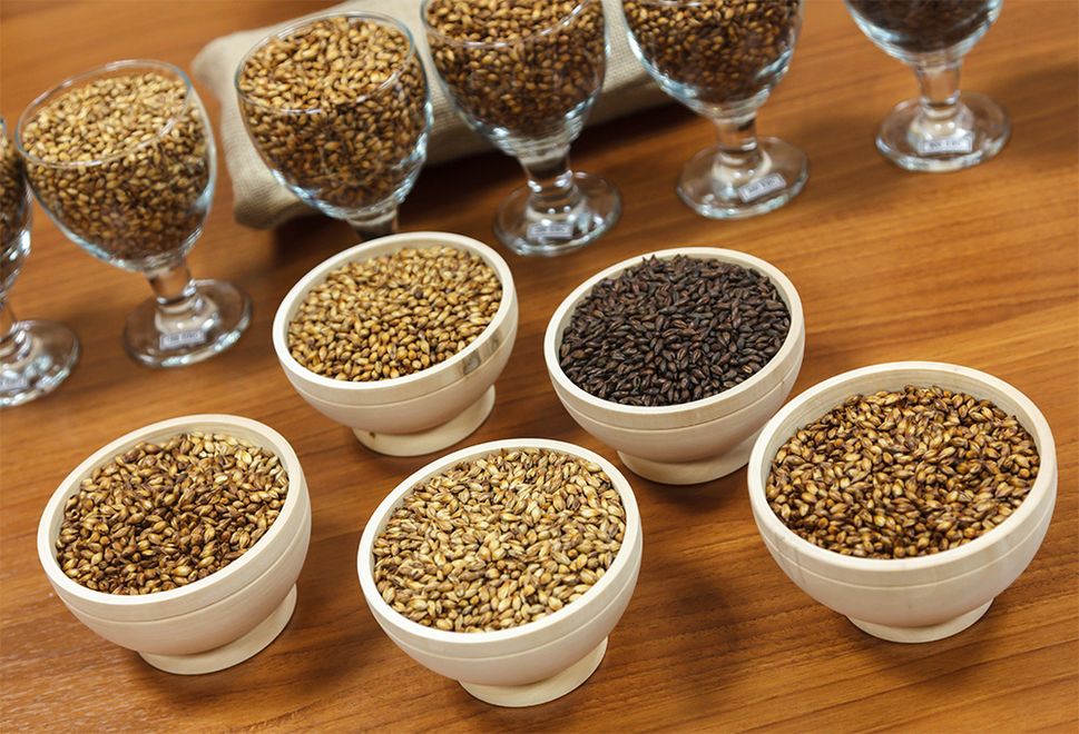 Различные виды солода