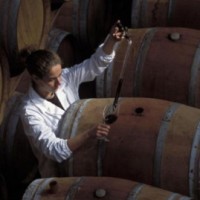 Болезни вина – причины, профилактика и методы лечения