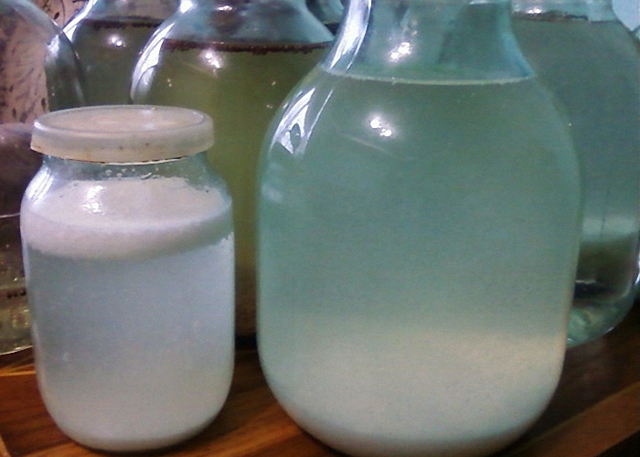 Брага из компота с сахаром и без - рецепт самогона