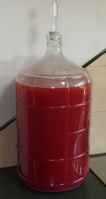 Бывают ли у вина болезни - ответ