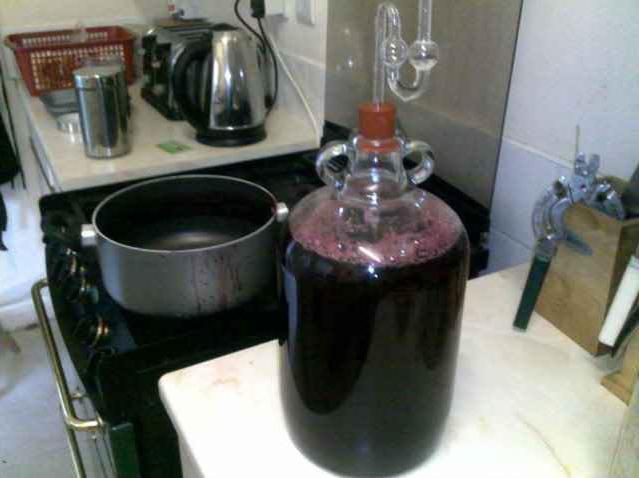 Делаем вино из изюма в домашних условиях - правильный рецепт