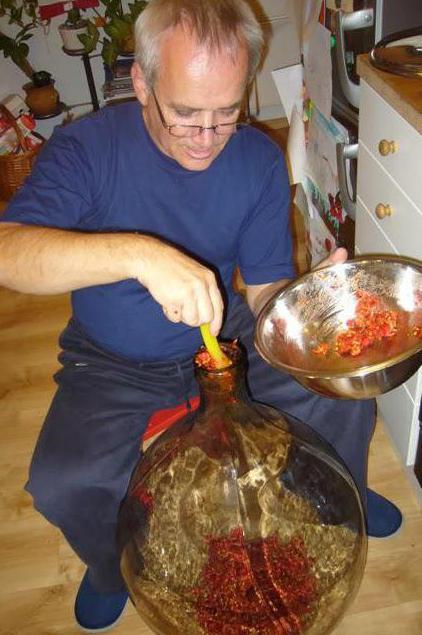 Домашнее вино из шиповника по проверенному рецепту