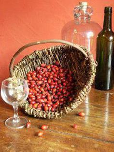 Домашнее вино из шиповника по проверенному рецепту