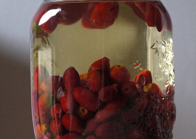 Домашнее вино из шиповника по проверенному рецепту