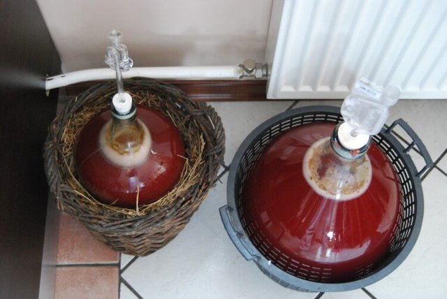 Фруктовая брага не хочет бродить или остановилась