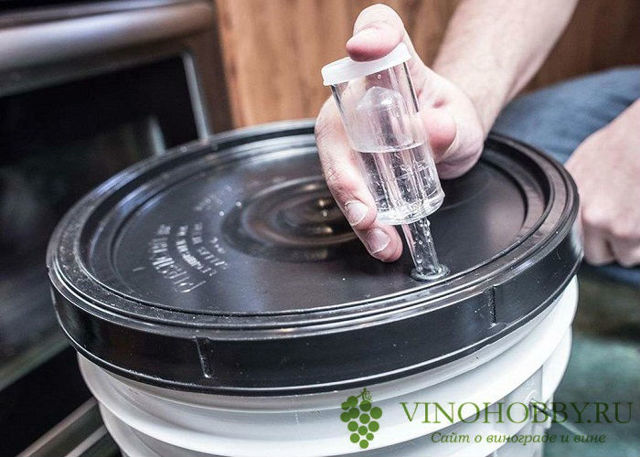 Гидрозатвор для брожения своими руками – 4 лучших конструкции