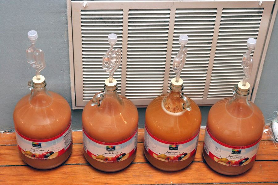 Брага из яблок