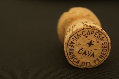 Игристое вино кава – понятие, виды, культура употребления