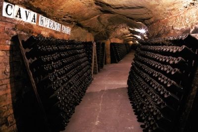 Игристое вино кава – понятие, виды, культура употребления