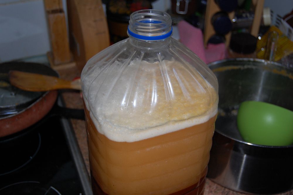 бутылка с брагой