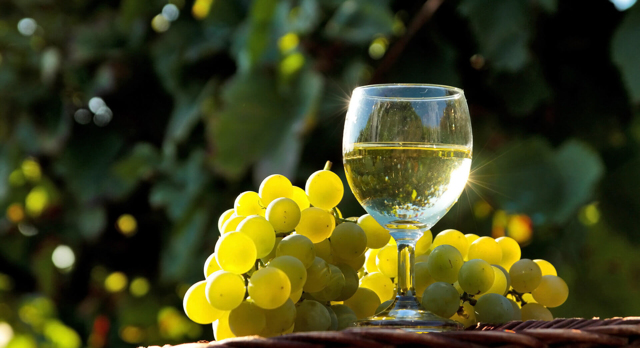 Как правильно выбирать бокалы для вина