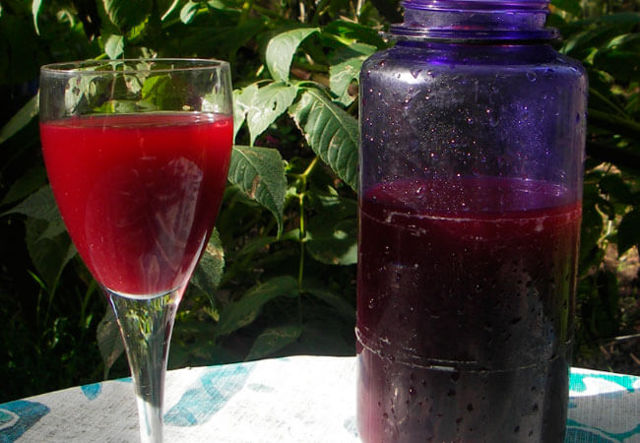 Вино из шелковицы в домашних условиях - рецепт и технология