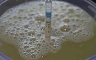 Как узнать крепость сусла (фруктовой браги)