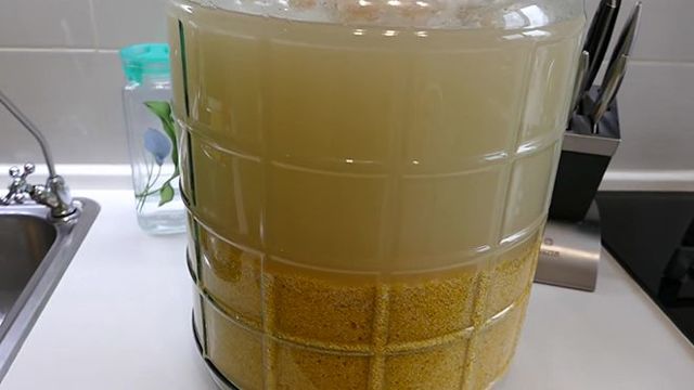 Лучшая емкость для зерновой браги