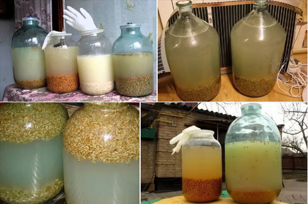 Лучшая емкость для зерновой браги