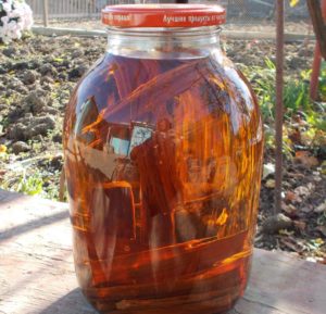 Настойка коньяка на дубовых палочках