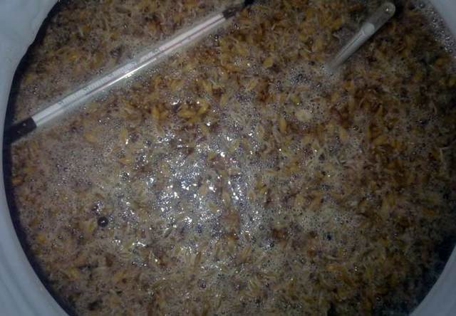 Несладкая брага продолжает булькать (выделять газ): что делать