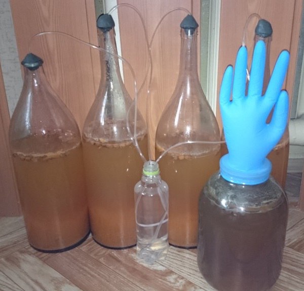 Брожение вина