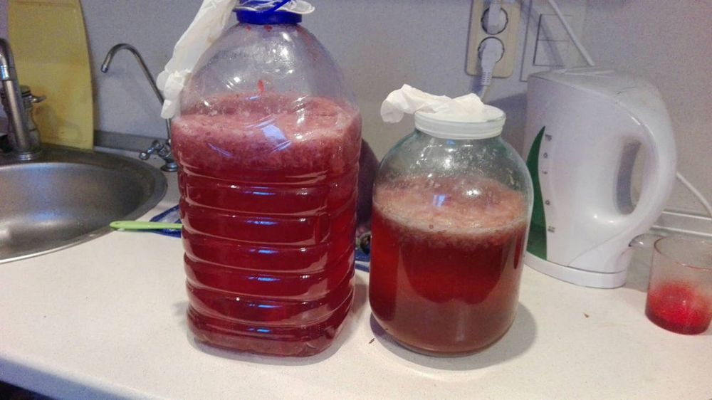 Брага на клубнике