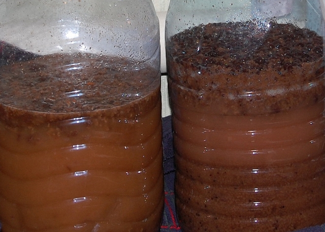 Приготовление браги для питья из варенья или сока