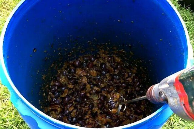 Простой самогон из слив - рецепт браги и перегонка