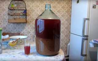 Простой самогон из слив - рецепт браги и перегонка