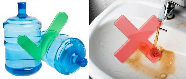 Самогон из ананасов – рецепт браги с сахаром и без