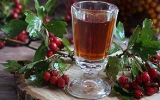 Самогон из боярышника – правильный рецепт браги и перегонка