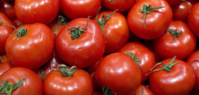 Самогон из помидоров или томатной пасты – рецепт браги