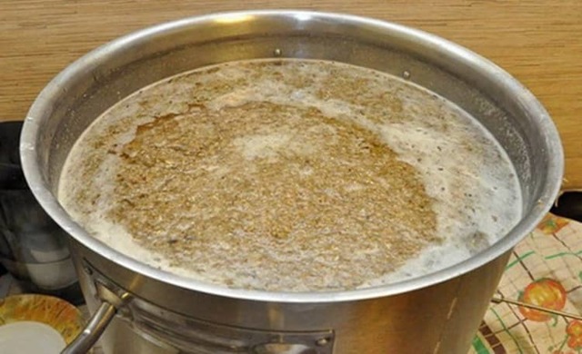 Самогон из солода (обычного и зеленого) - рецепт браги