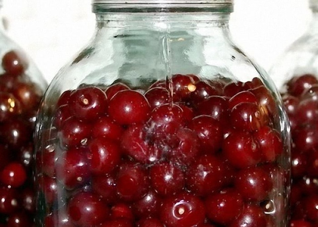 Самогон из вишни в домашних условиях - рецепт вишневой браги